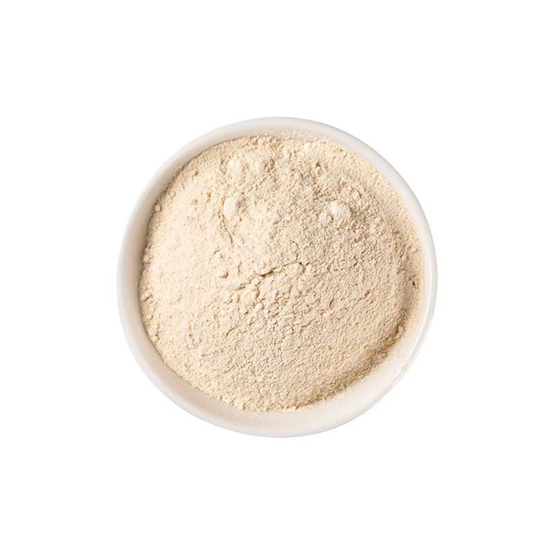 Garlic Powder high quality